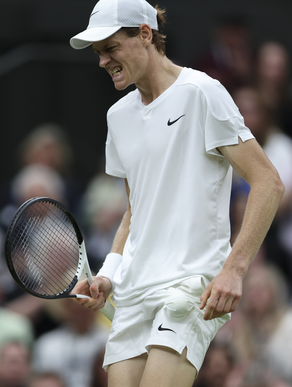 的十战全胜 的十战全胜