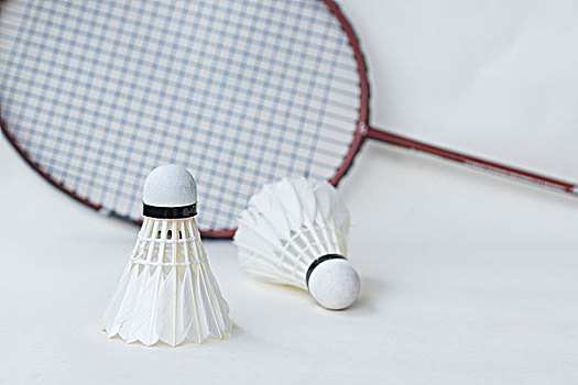 也突出了可 也突出了可