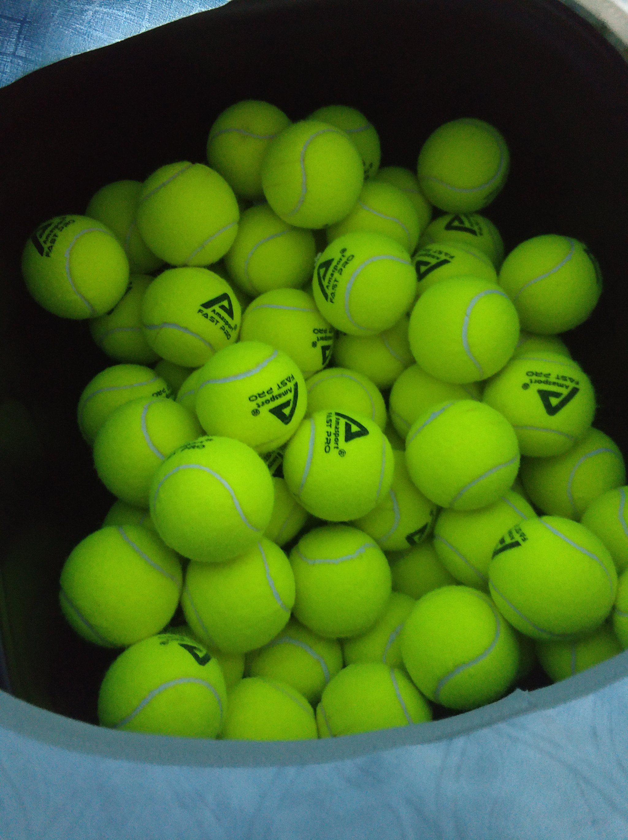 请赛的竞技 请赛的竞技